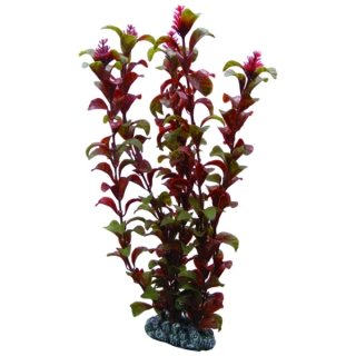 Hobby Rotala 30 cm, täuschend echt aussehende Aquarienpflanze