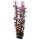Hobby Ludwigia 34 cm, täuschend echt wirkende Aquarienpflanze
