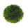 Hobby Plant Ball 9 cm