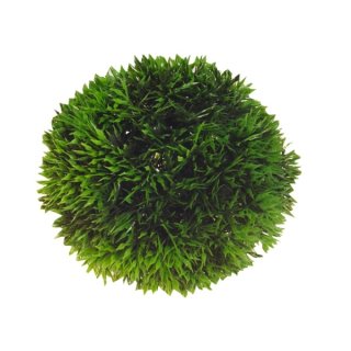 Hobby Plant Ball 13 cm Mooskugel XXL