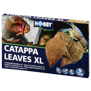Hobby Catappa Leaves XL 12 St., Seemandelbaumblätter