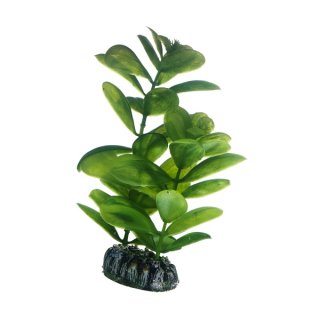 Hobby Saururus 16 cm,  täuschend echt aussehende Aquarienpflanze