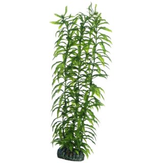 Hobby Heteranthera 34 cm,  täuschend echt wirkende Aquarienpflanze