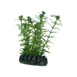 Hobby Lagarosiphon 7 cm, täuschend echt aussehende Kunststoffpflanze