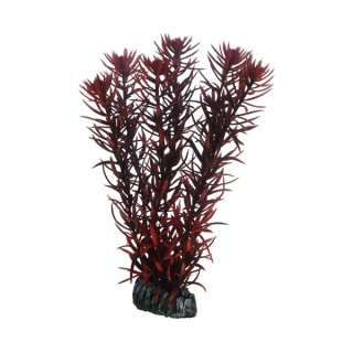 Hobby Eusteralis 20 cm, täuschend echt wirkende Aquarienpflanze