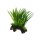 Hobby Flora Root 1, S 17 cm