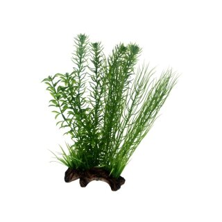 Hobby Flora Root 2, L 30 cm, Wurzel mit Pflanzen fürs Aquarium