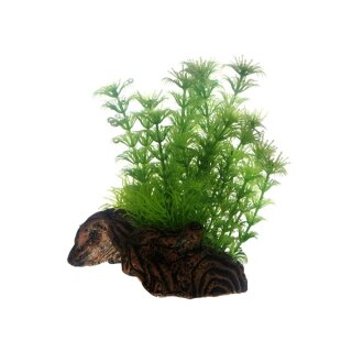 Hobby Flora Root 3, S 17 cm, Wurzel mit Pflanzen fürs Aquarium